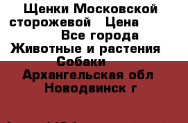 Щенки Московской сторожевой › Цена ­ 35 000 - Все города Животные и растения » Собаки   . Архангельская обл.,Новодвинск г.